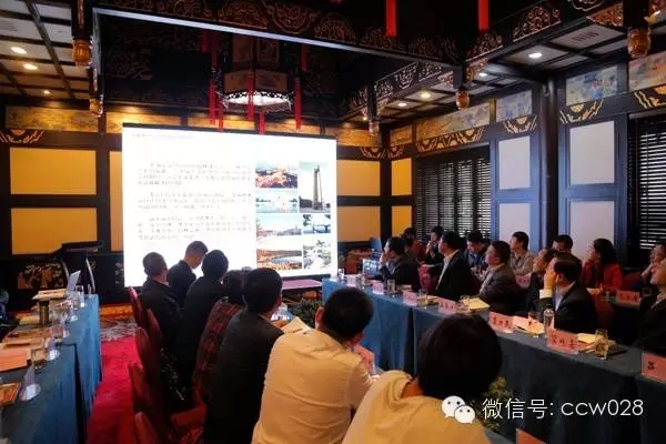 对话川味发展论坛(图15)