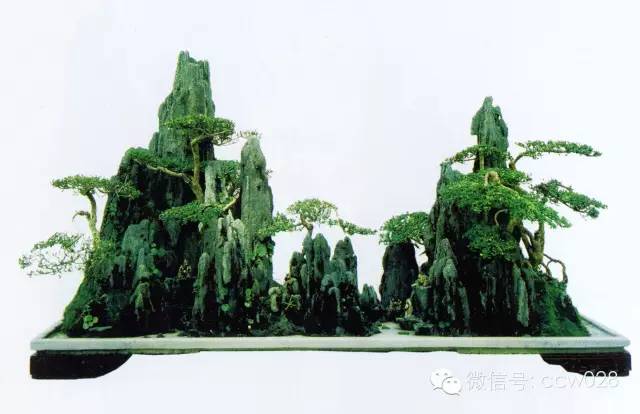 盆景大师——张重民 (图3)