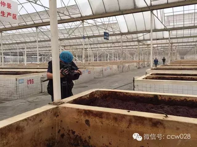 感恩有您，精彩同行——川味中国风雨历程（二十三） (图66)