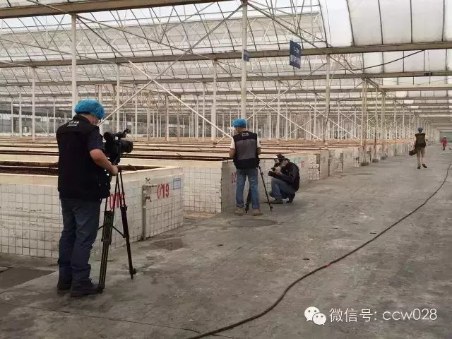 感恩有您，精彩同行——川味中国风雨历程（二十三） (图67)