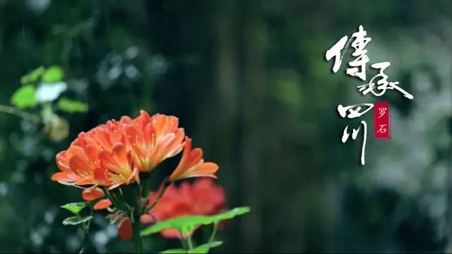 一江一河滋养绘画生涯【传承四川】国画 (图5)