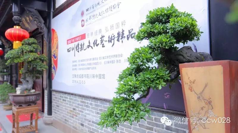 中国盆景协会一行到访成都，做客川味中国(图8)