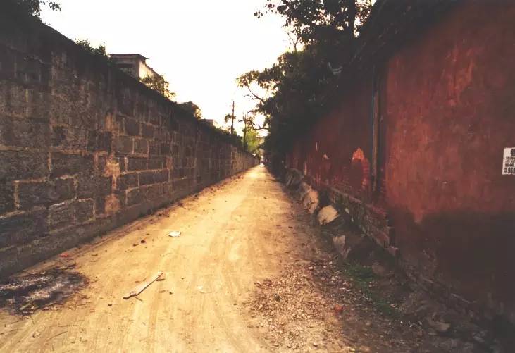 “锦里”长成史——张丽君 (图4)