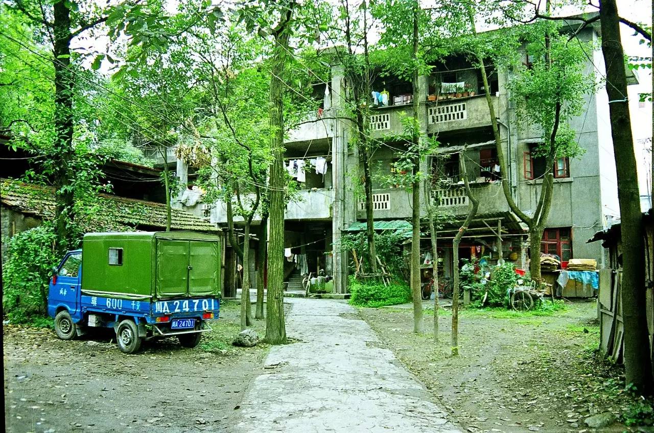 “锦里”长成史——张丽君 (图5)