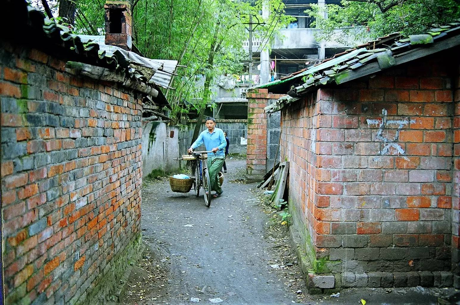 “锦里”长成史——张丽君 (图7)
