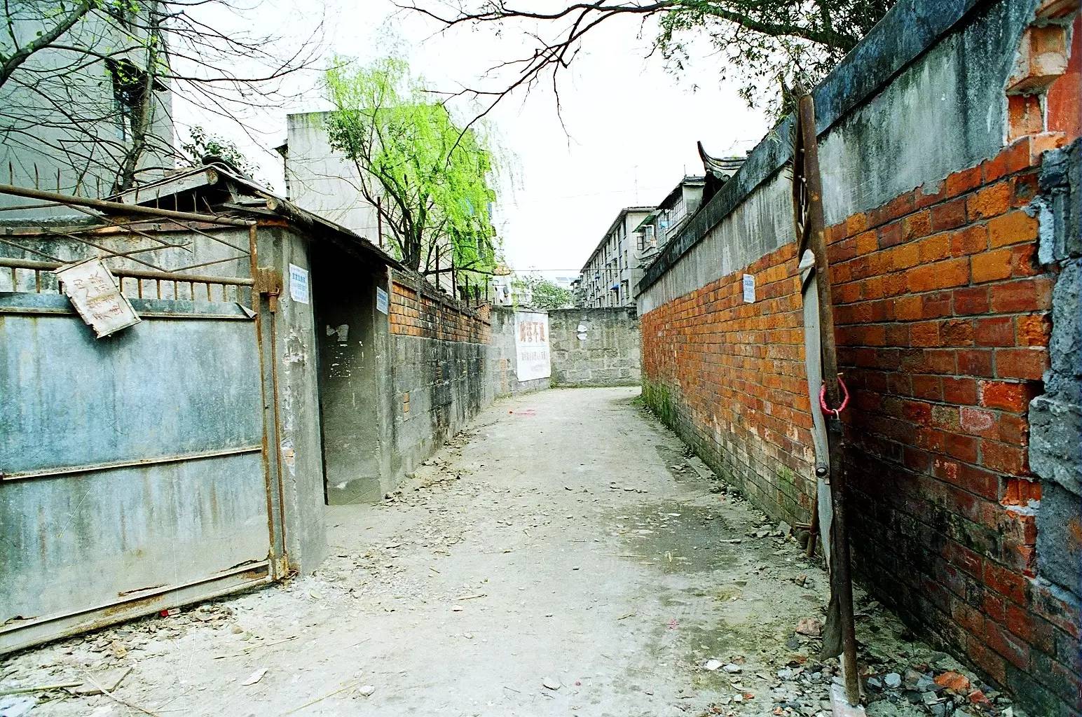 “锦里”长成史——张丽君 (图8)