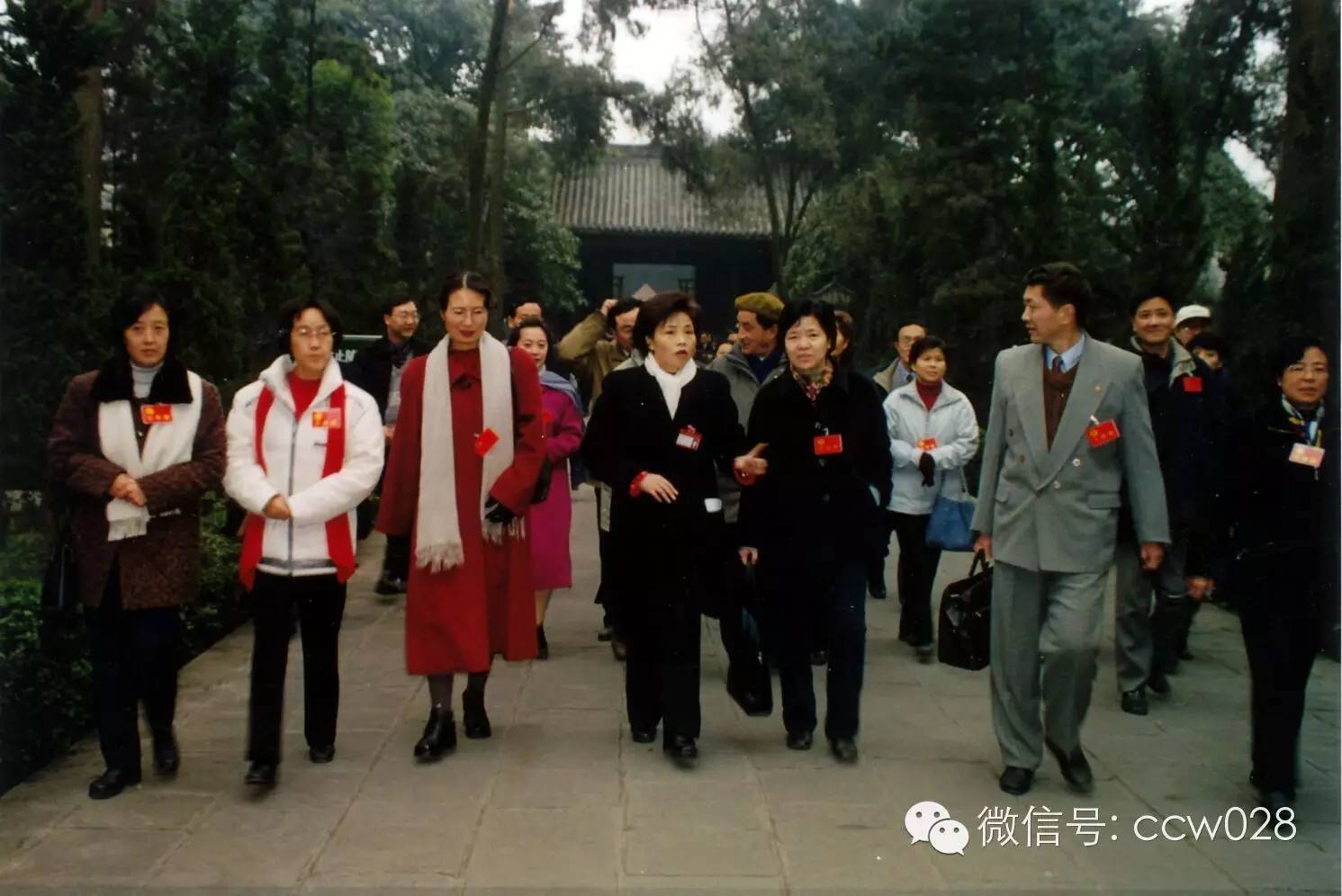 “锦里”长成史——张丽君 (图26)