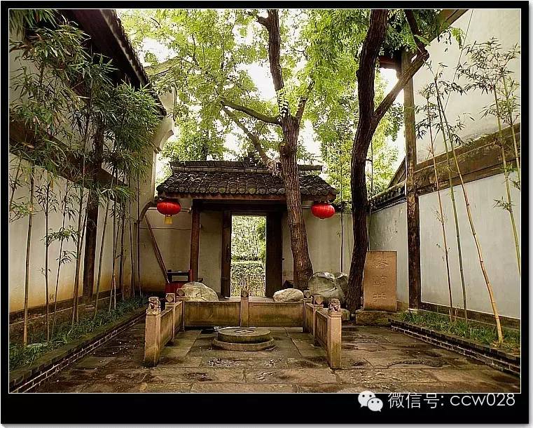 “锦里”长成史——张丽君 (图30)