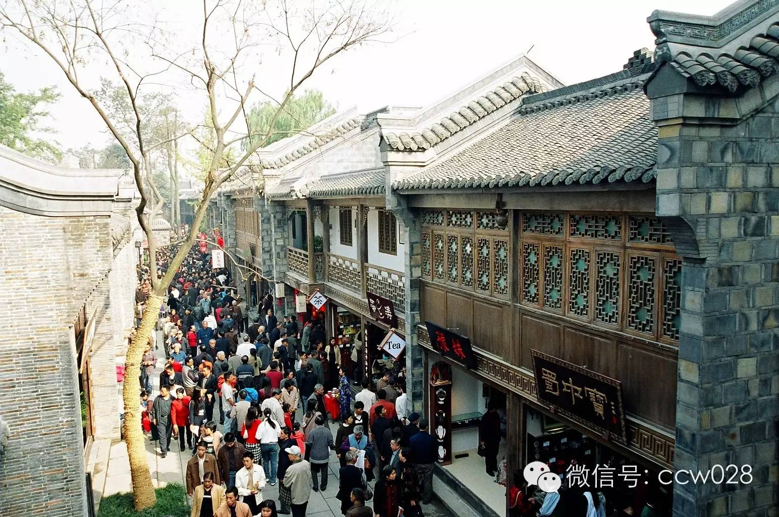 “锦里”长成史——张丽君 (图35)