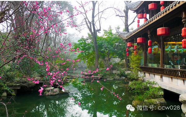 “锦里”长成史——张丽君 (图42)