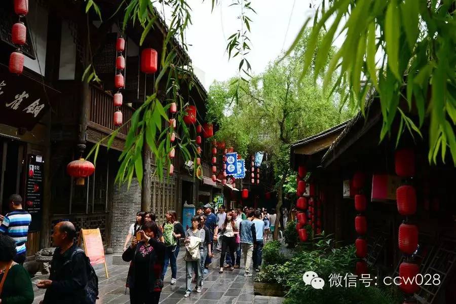 “锦里”长成史——张丽君 (图41)