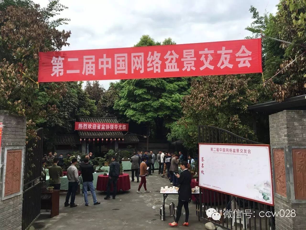 第二届中国网络盆景交友会在成都举办 (图1)