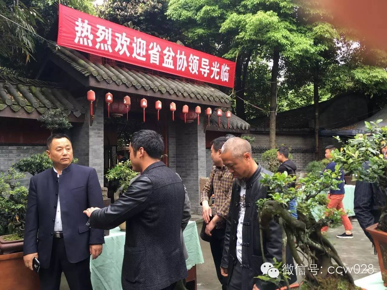 第二届中国网络盆景交友会在成都举办 (图2)