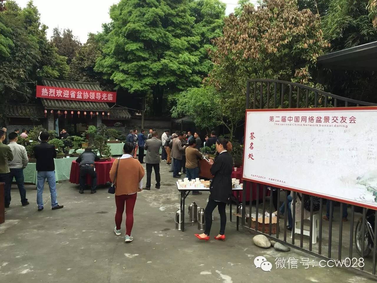 第二届中国网络盆景交友会在成都举办 (图8)