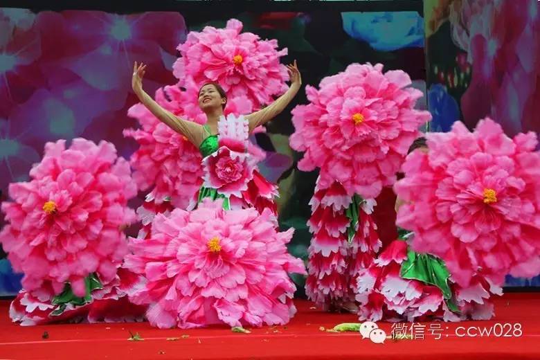蜀国鹃都旅游节开幕 成都再添游玩新去处 (图10)