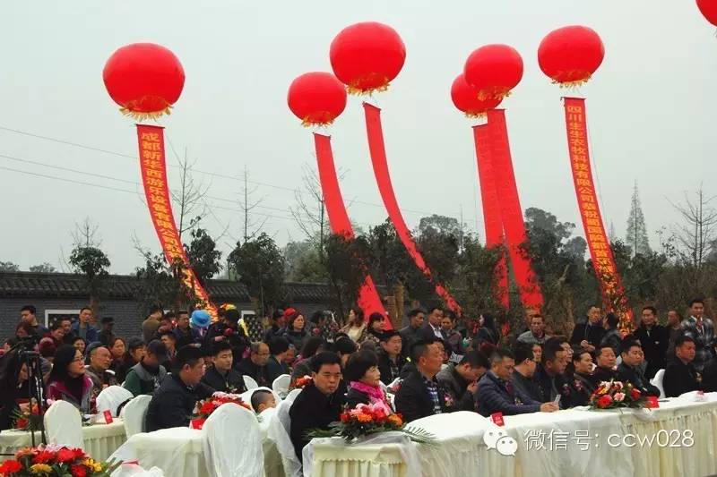 蜀国鹃都旅游节开幕 成都再添游玩新去处 (图16)