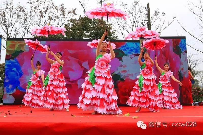 蜀国鹃都旅游节开幕 成都再添游玩新去处 (图12)