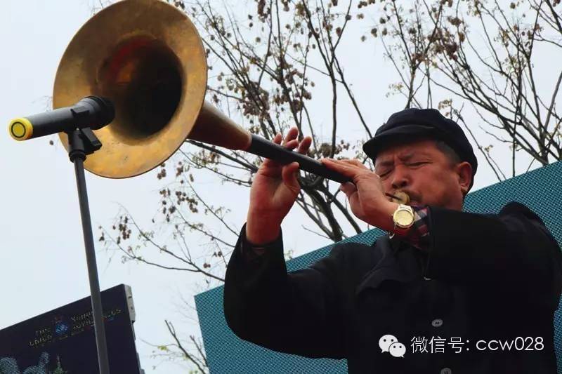 蜀国鹃都旅游节开幕 成都再添游玩新去处 (图21)