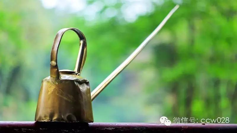 长壶少帅曾小龙的侠客梦 (图5)