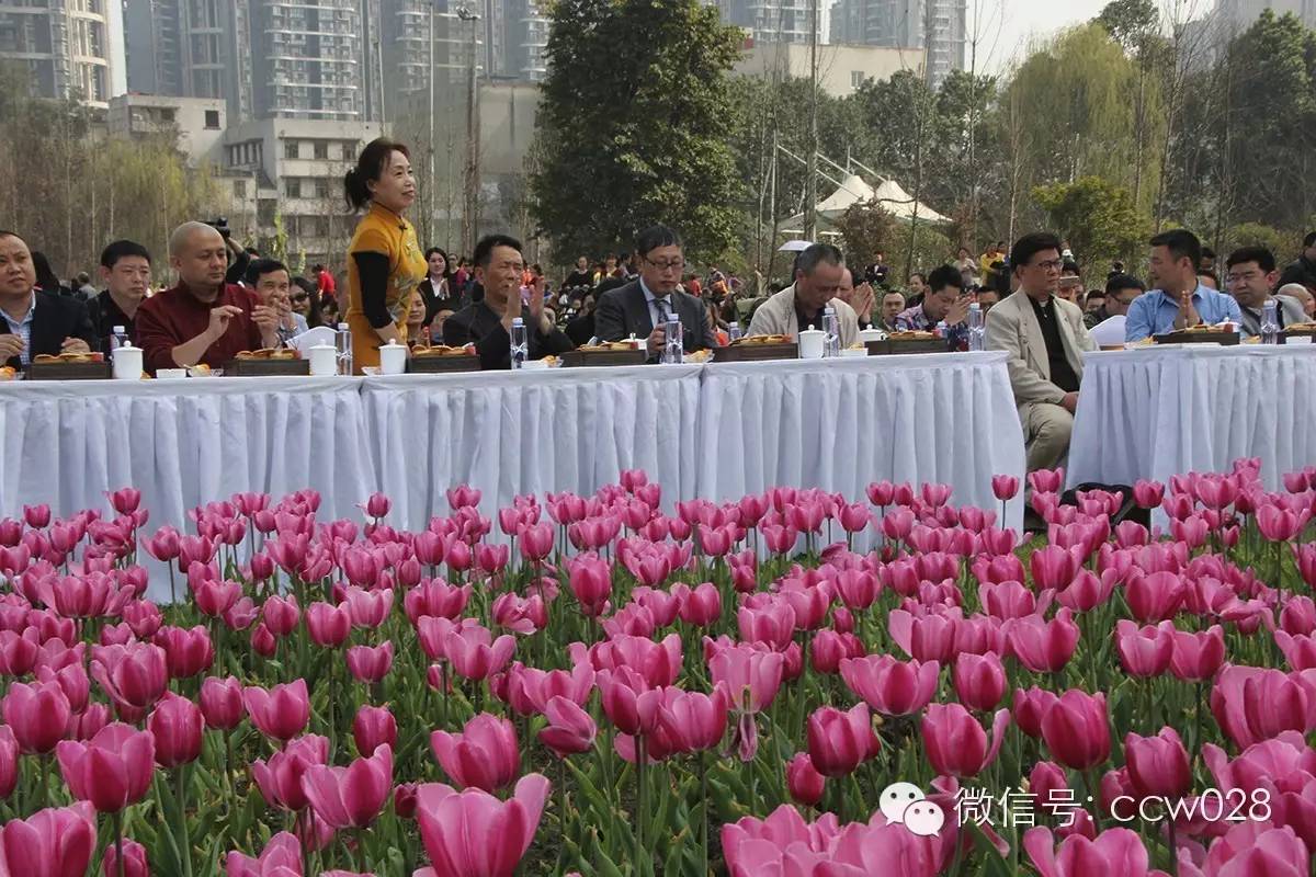 中华美食创意发布中心落户成都 (图5)