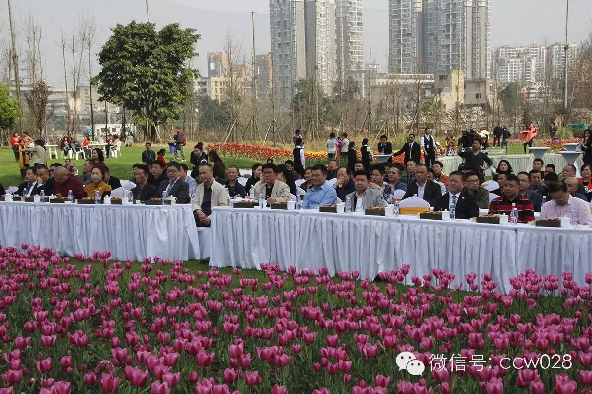 中华美食创意发布中心落户成都 (图22)