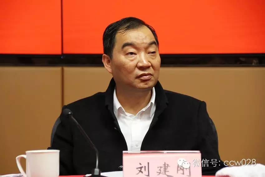 四川省文联在成都召开2016文艺宣传工作会(图6)