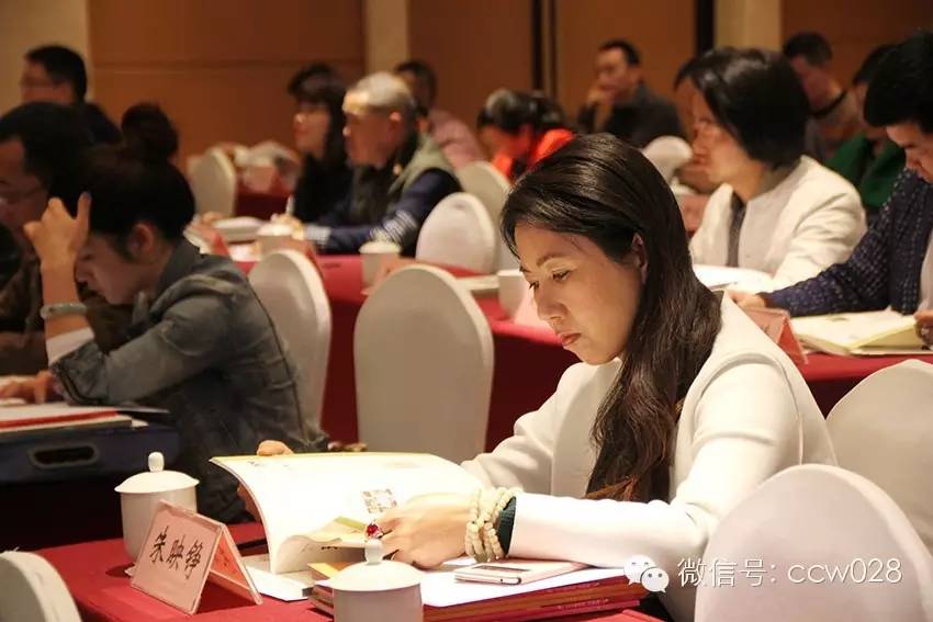 四川省文联在成都召开2016文艺宣传工作会(图11)