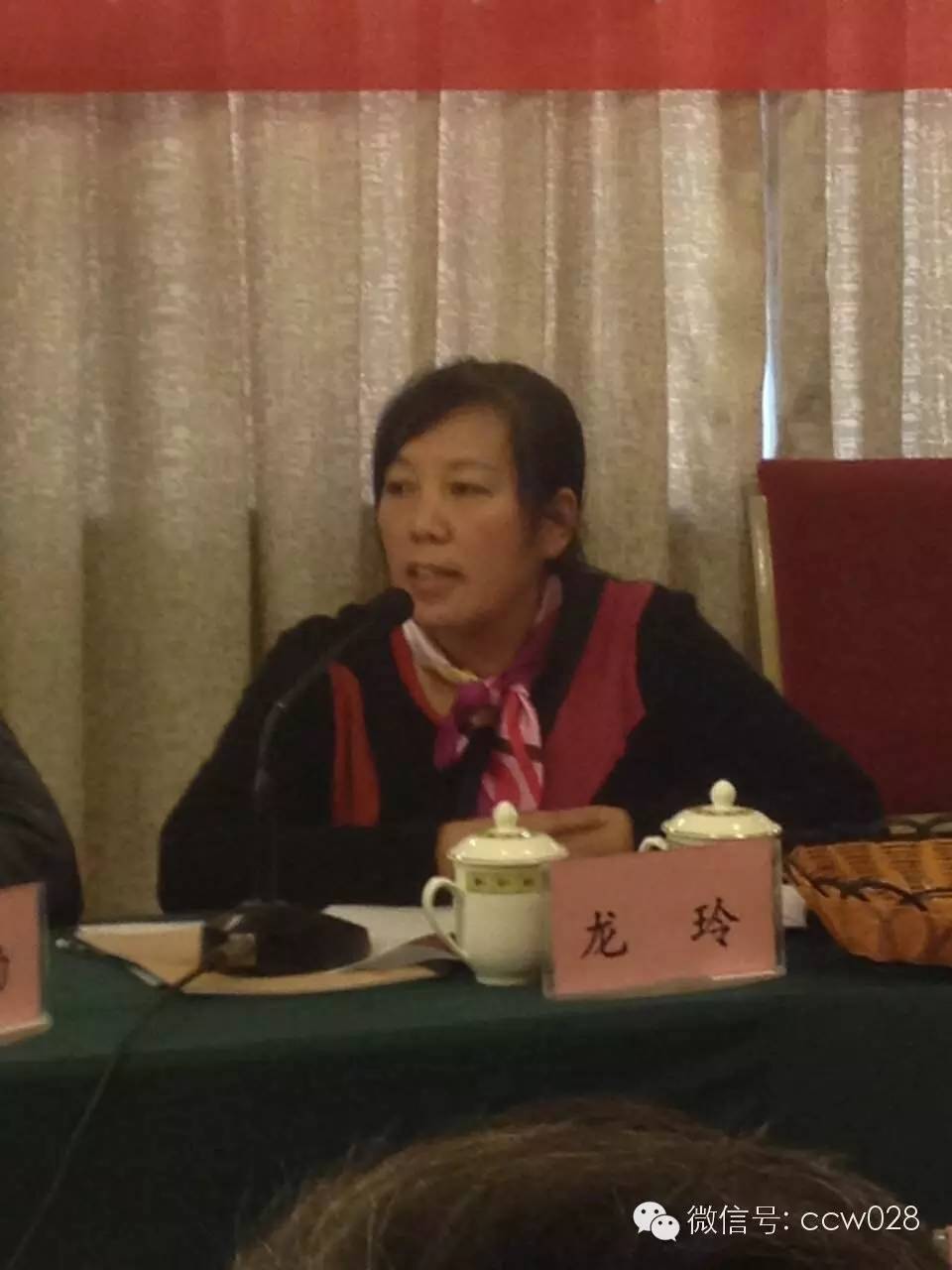 省传统文促会召开2016年首次会长办公会议(图8)