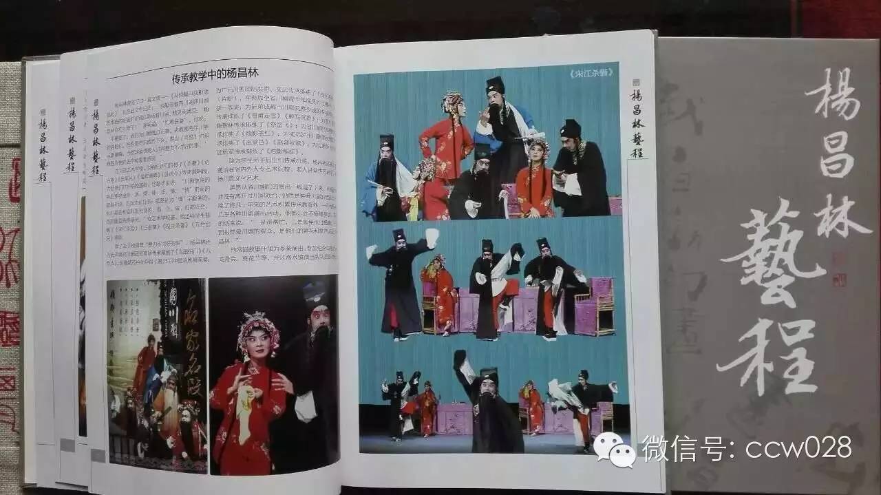 《杨昌林艺程》与读者见面 (图2)