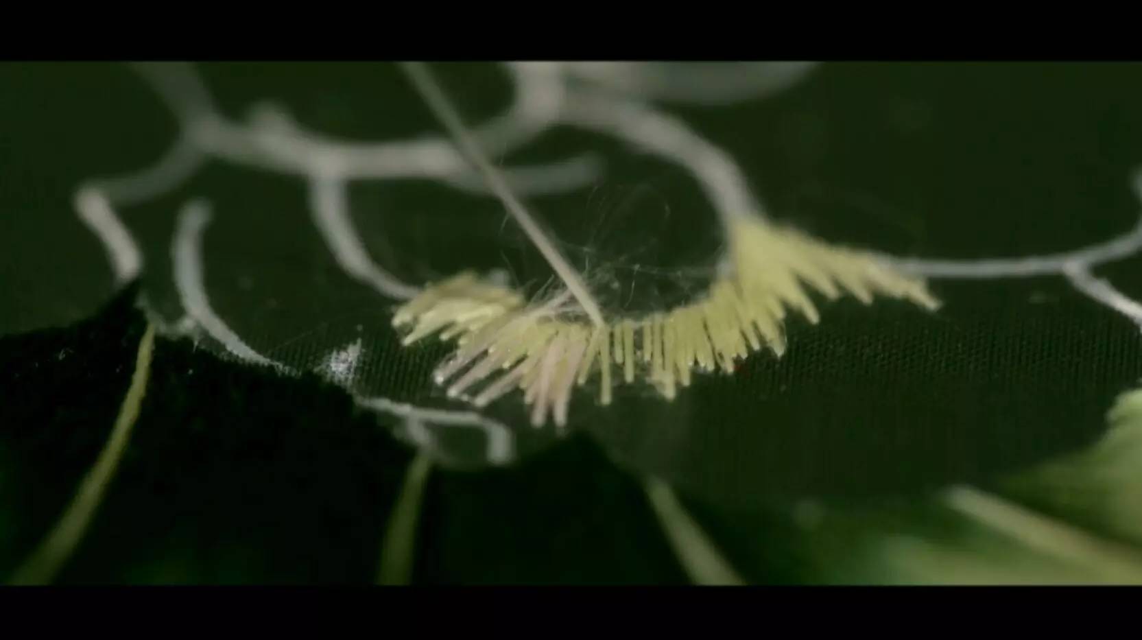 《味道四川》栏目组专访蜀绣艺术大师杨德全 (图2)