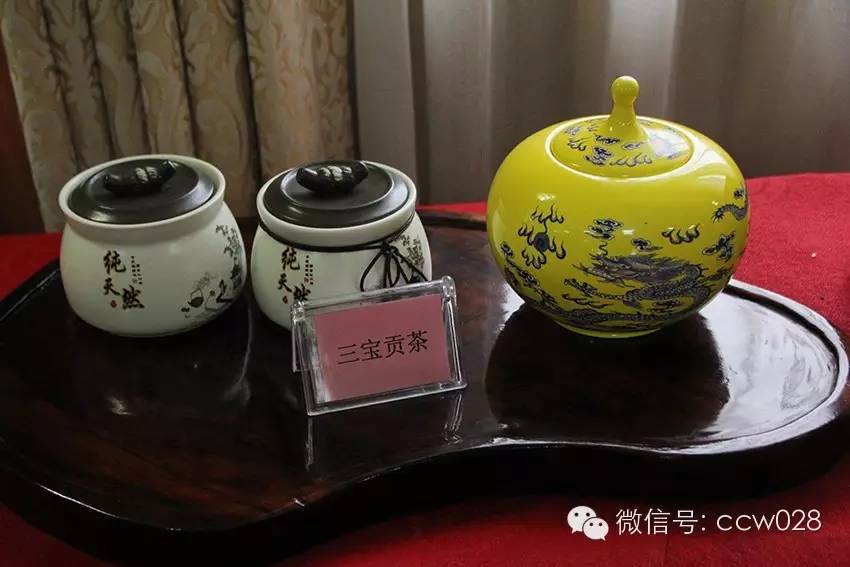 洪雅县茶文化研究学会近日正式成立 (图9)