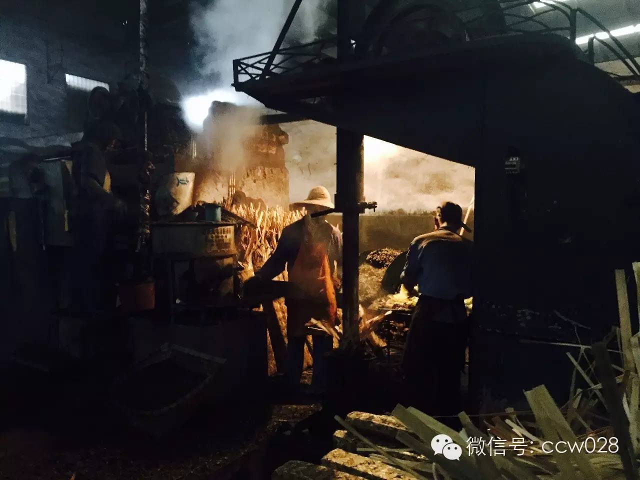 《味道四川》栏目组探访“茶叶之乡”勘景 (图4)