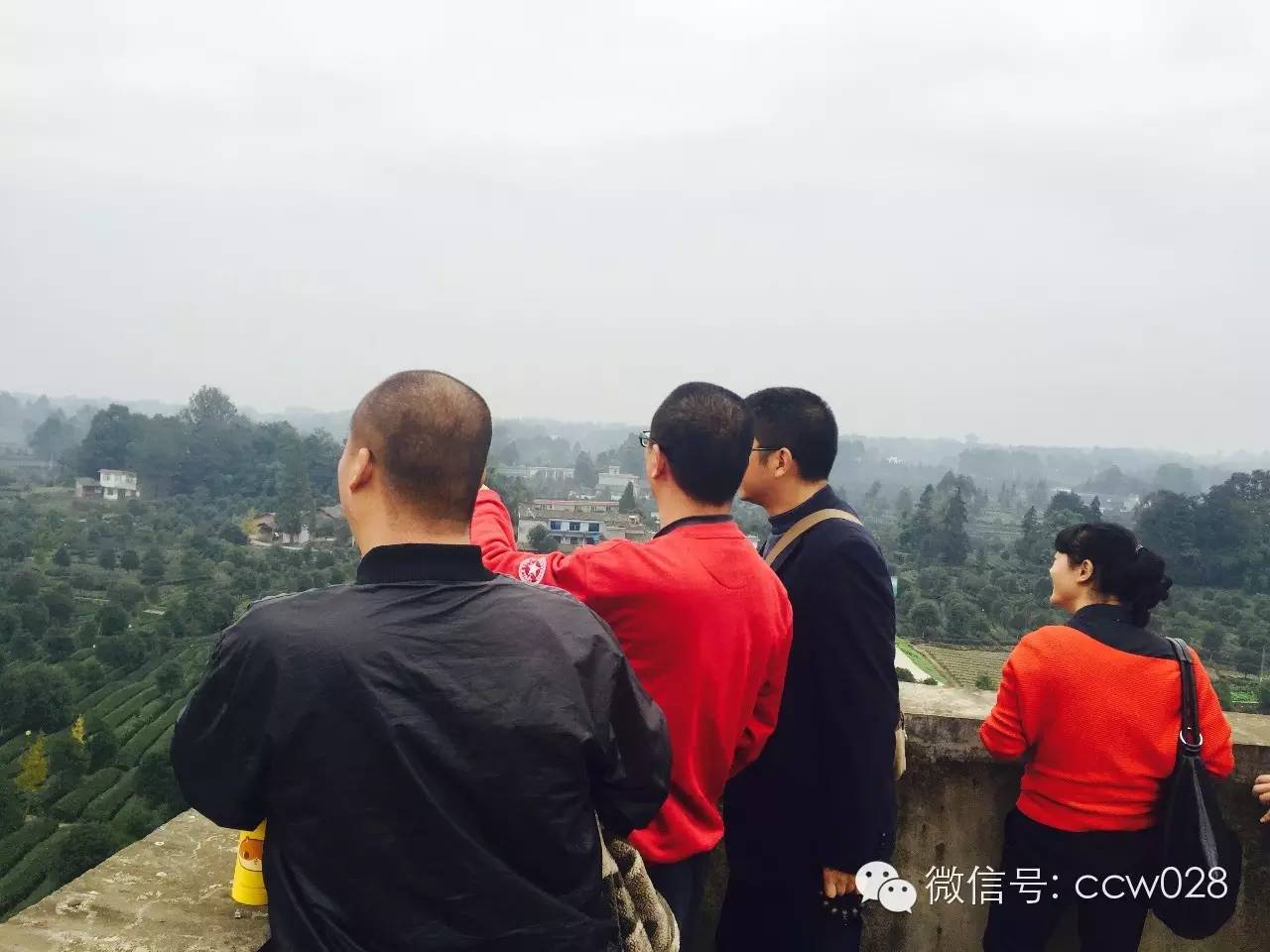 《味道四川》栏目组探访“茶叶之乡”勘景 (图2)