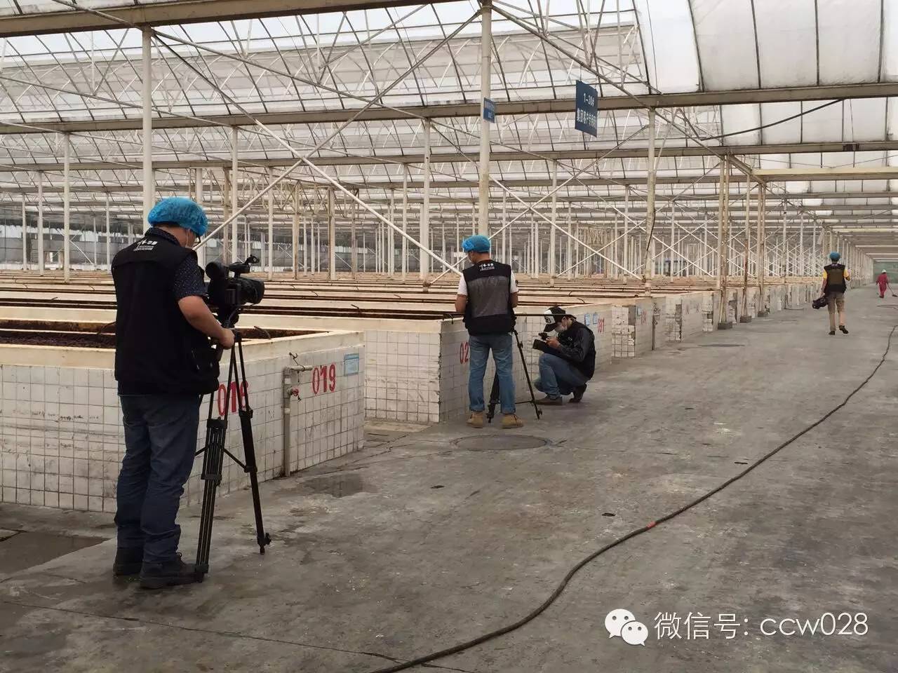 《川厨领秀》郫县专场录制 定位“川菜之魂”(图12)