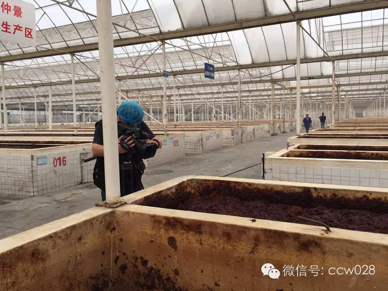 《川厨领秀》郫县专场录制 定位“川菜之魂”(图11)