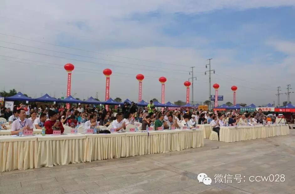 第五届中国成都国际非物质文化遗产节龙和茶文化会场隆重开幕 (图2)