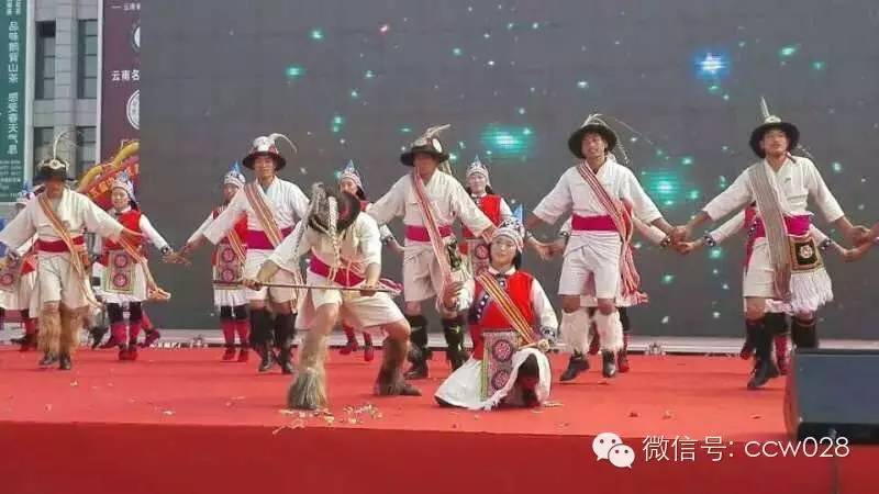 第五届中国成都国际非物质文化遗产节龙和茶文化会场隆重开幕 (图7)