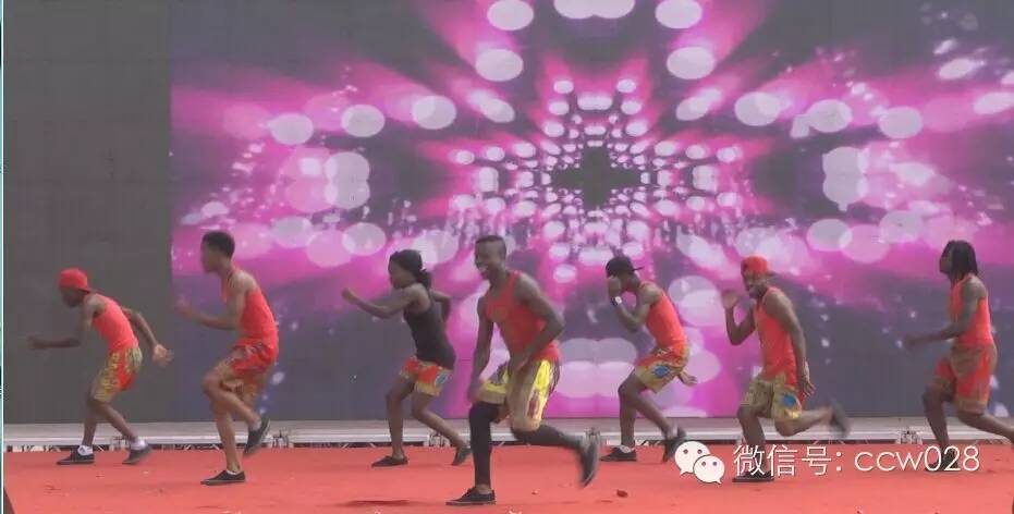 第五届中国成都国际非物质文化遗产节龙和茶文化会场隆重开幕 (图8)