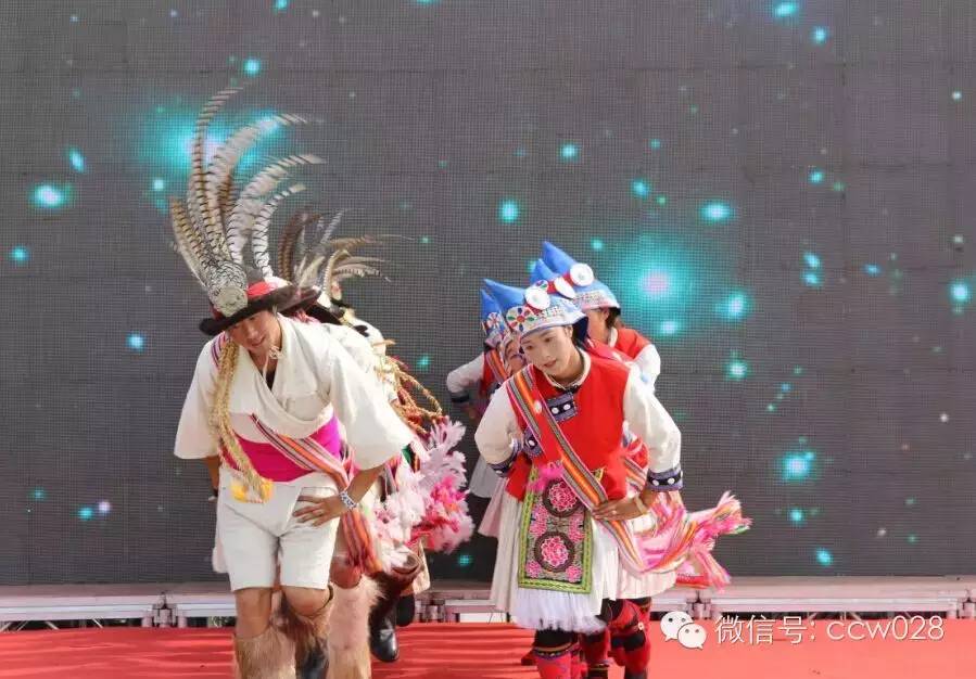 第五届中国成都国际非物质文化遗产节龙和茶文化会场隆重开幕 (图6)