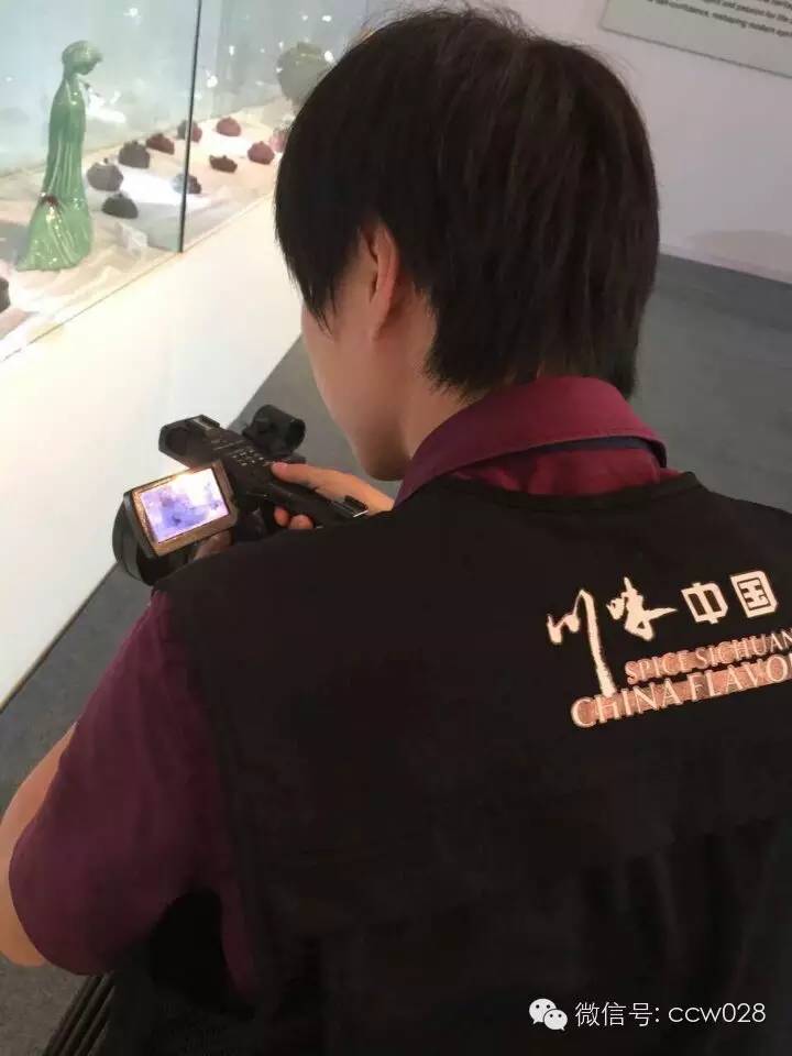 “川味中国”承担“非遗节”全程影像录制任务 (图7)