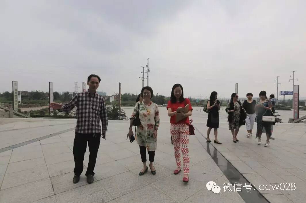 非遗分会场执行工作在龙和召开座谈会 (图5)