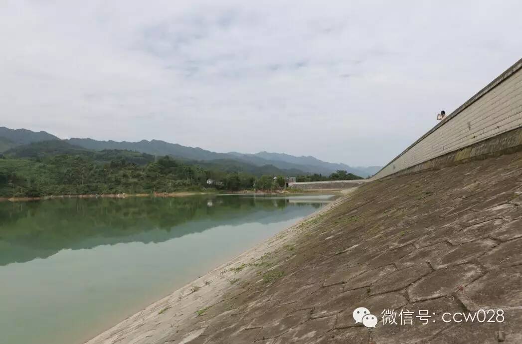 关心会员企业发展，深入田间坡头考察调研——张丽君会长彭州行记 (图8)