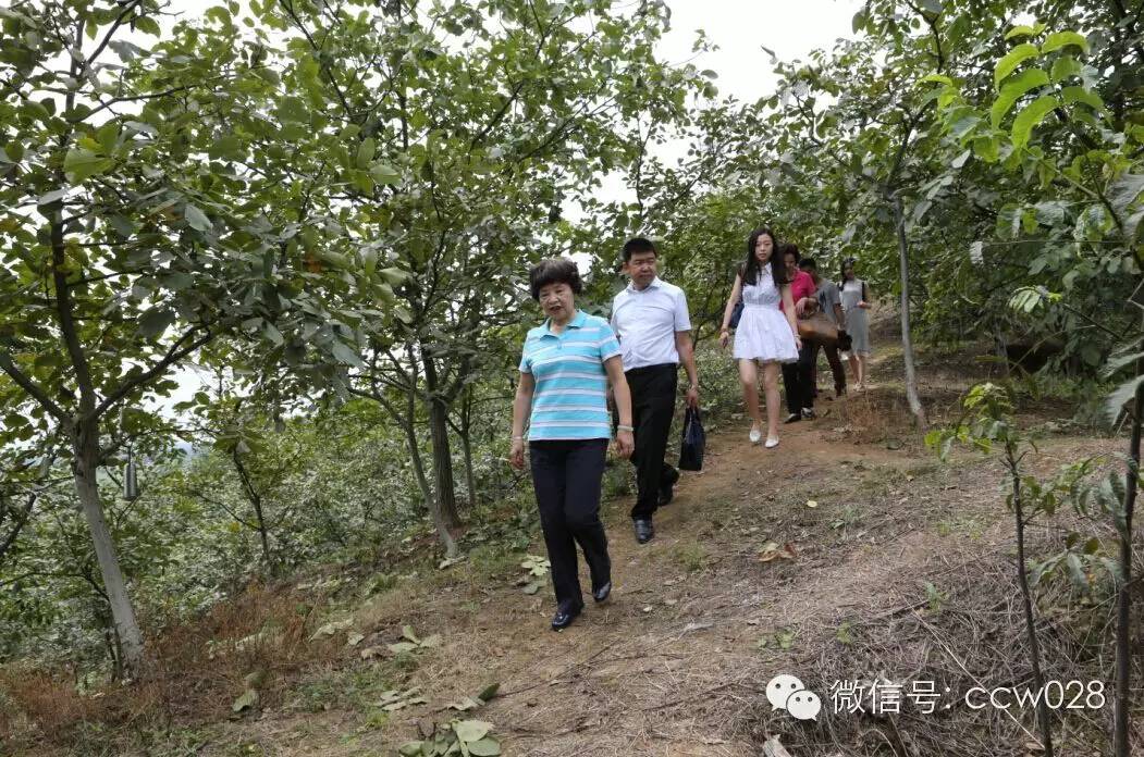 关心会员企业发展，深入田间坡头考察调研——张丽君会长彭州行记 (图5)