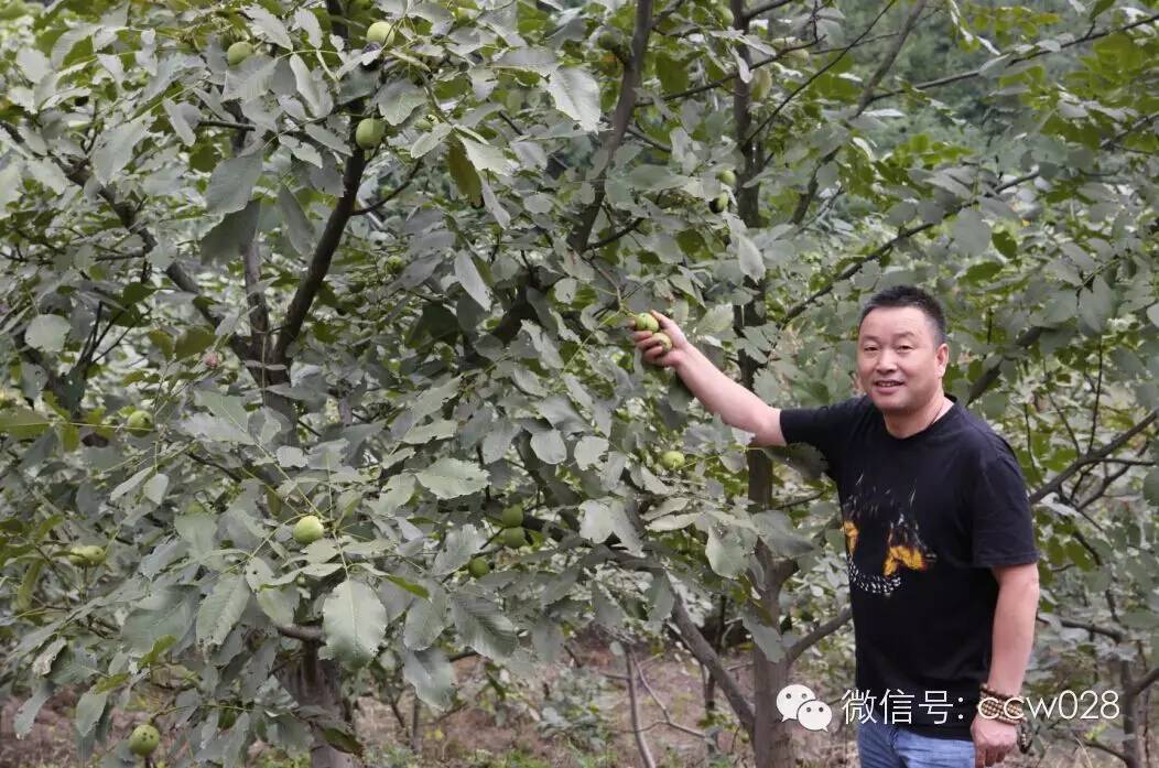 关心会员企业发展，深入田间坡头考察调研——张丽君会长彭州行记 (图3)