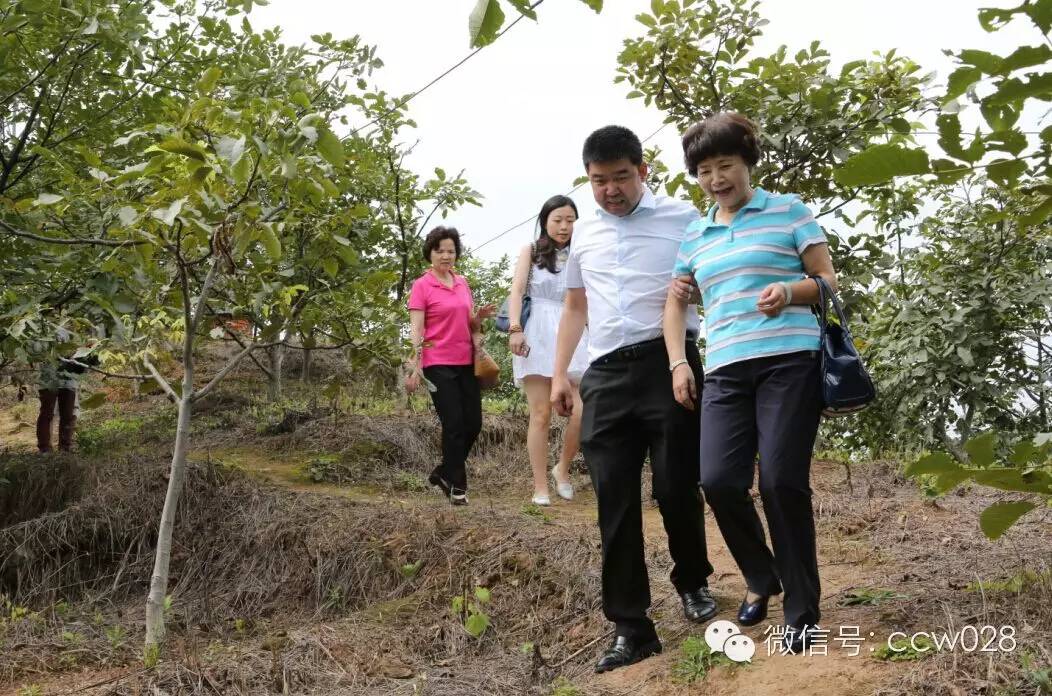 关心会员企业发展，深入田间坡头考察调研——张丽君会长彭州行记 (图4)