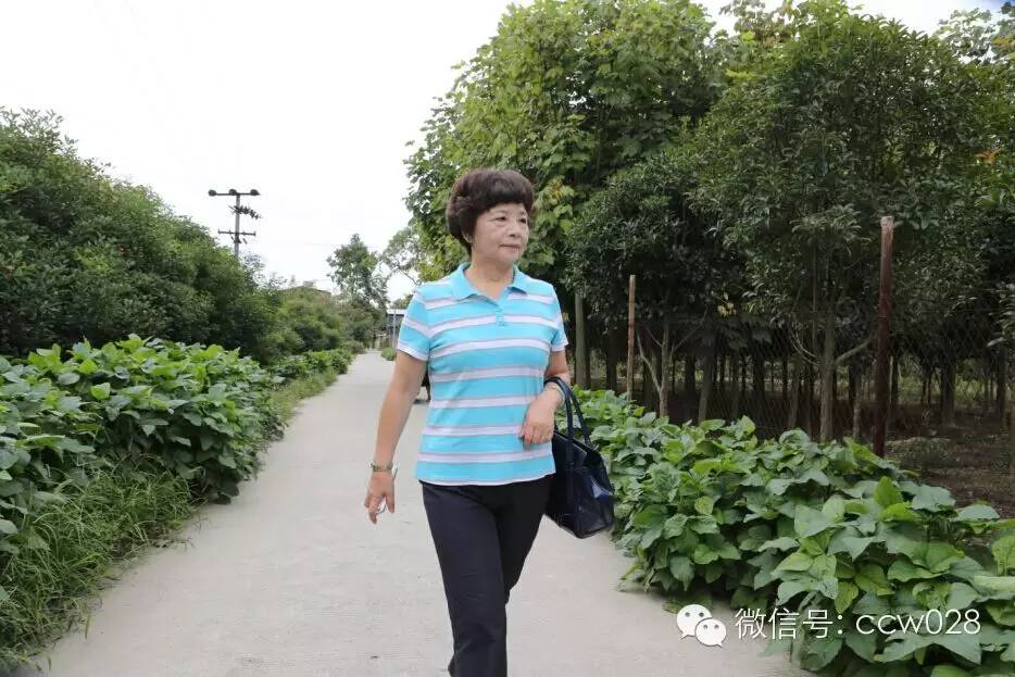 关心会员企业发展，深入田间坡头考察调研——张丽君会长彭州行记 (图1)