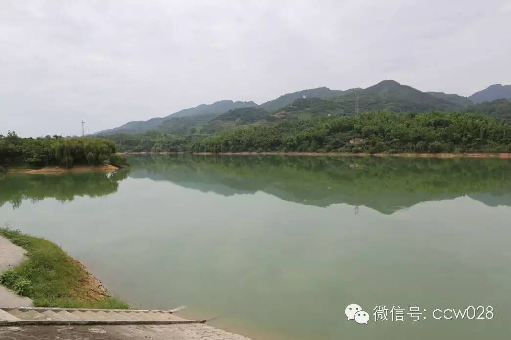 关心会员企业发展，深入田间坡头考察调研——张丽君会长彭州行记 (图7)