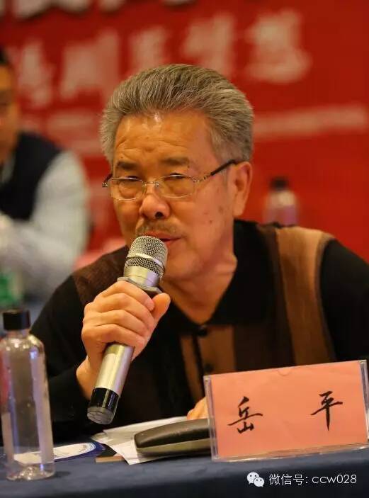 岳平： 通过行业整合 实现产业良性发展 (图1)