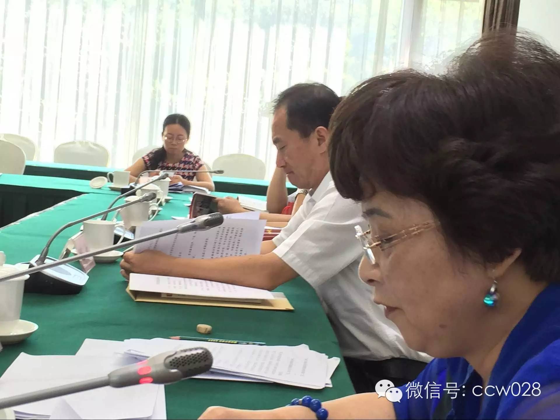 保护传统 弘扬国粹 ——张丽君会长发表传统文化保护与发展讲话 (图8)