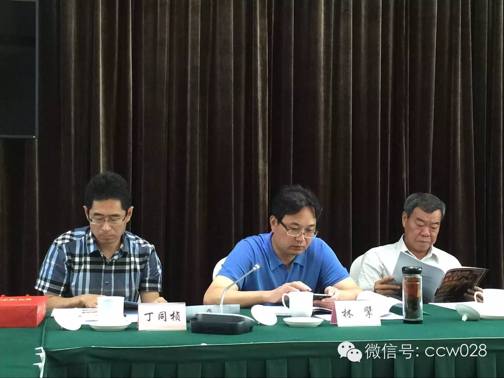 保护传统 弘扬国粹 ——张丽君会长发表传统文化保护与发展讲话 (图9)